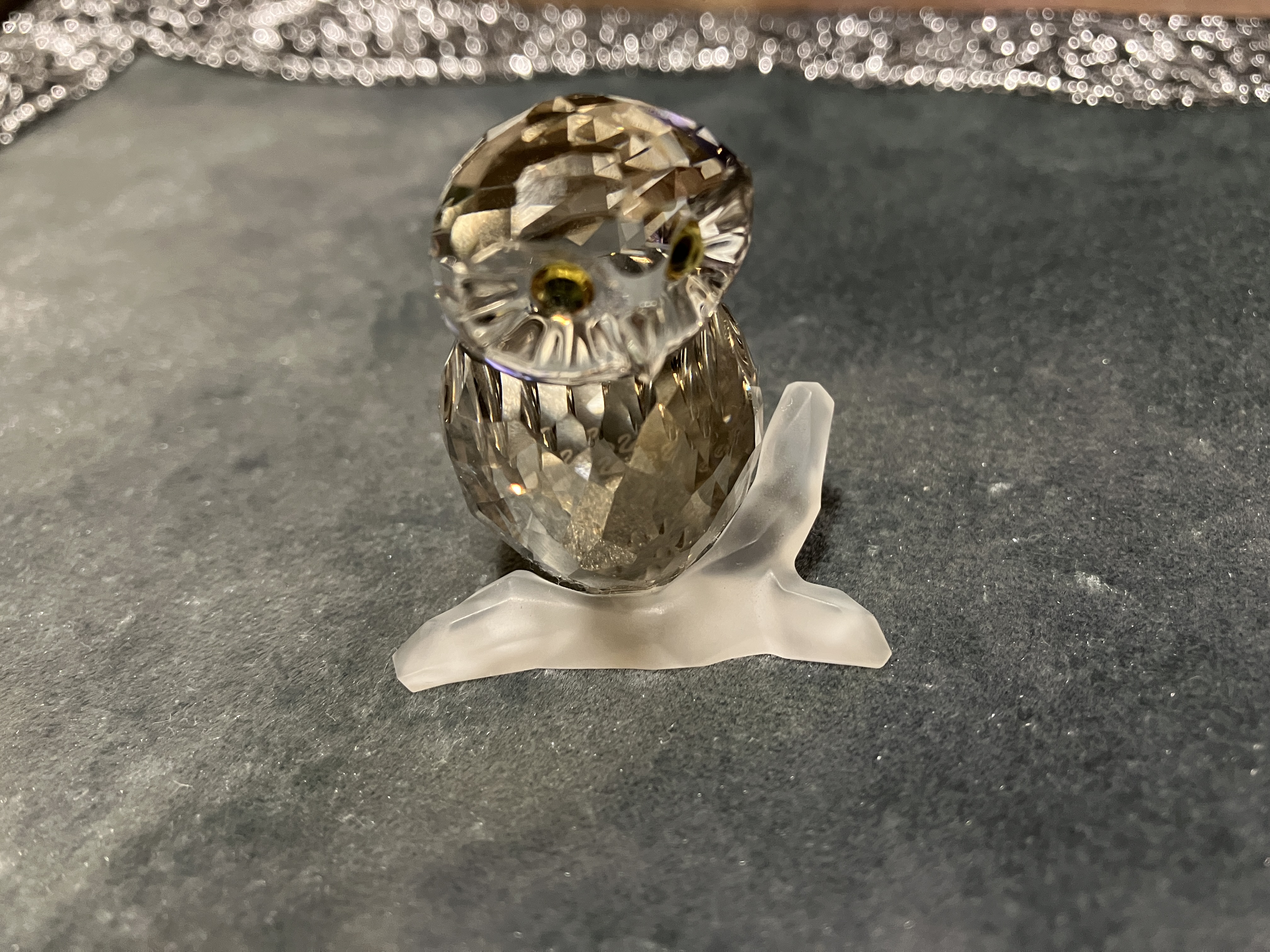 占い師深志のお気に入り写真1